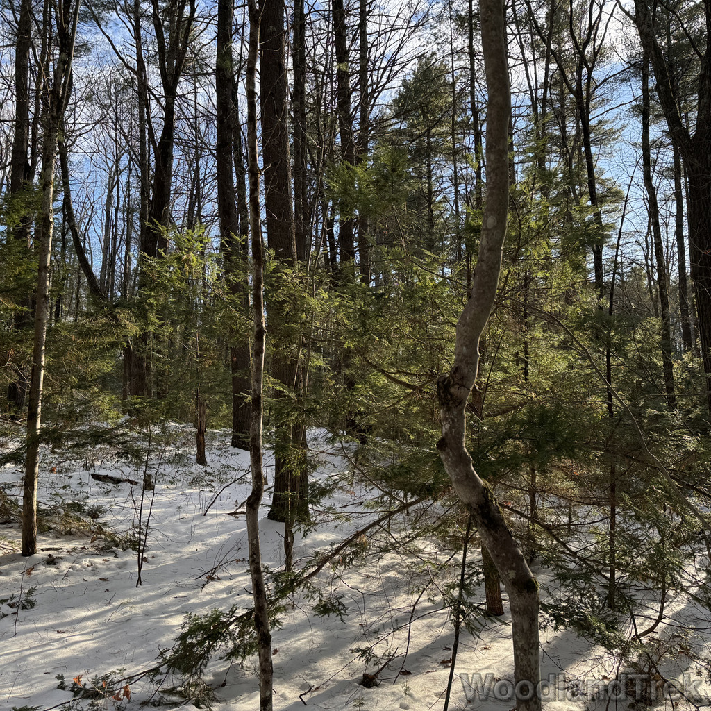 2025-12-18_142707_00