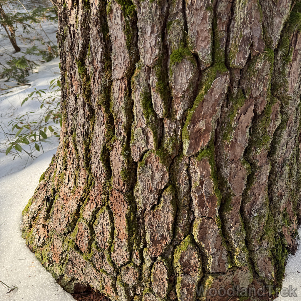 2025-12-18_142729_00