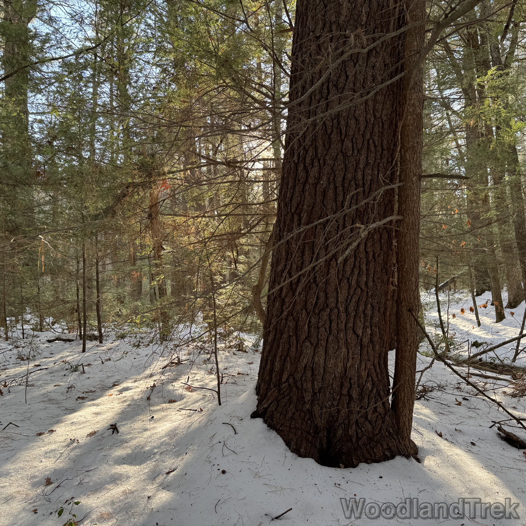 2025-12-18_142850_00