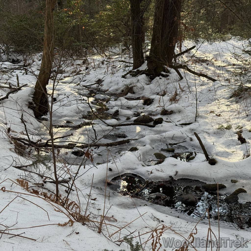 2025-12-18_143004_00