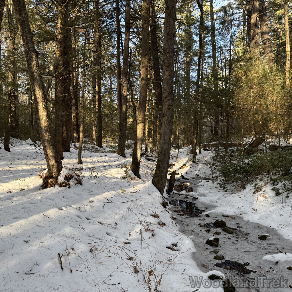 2025-12-18_143036_00