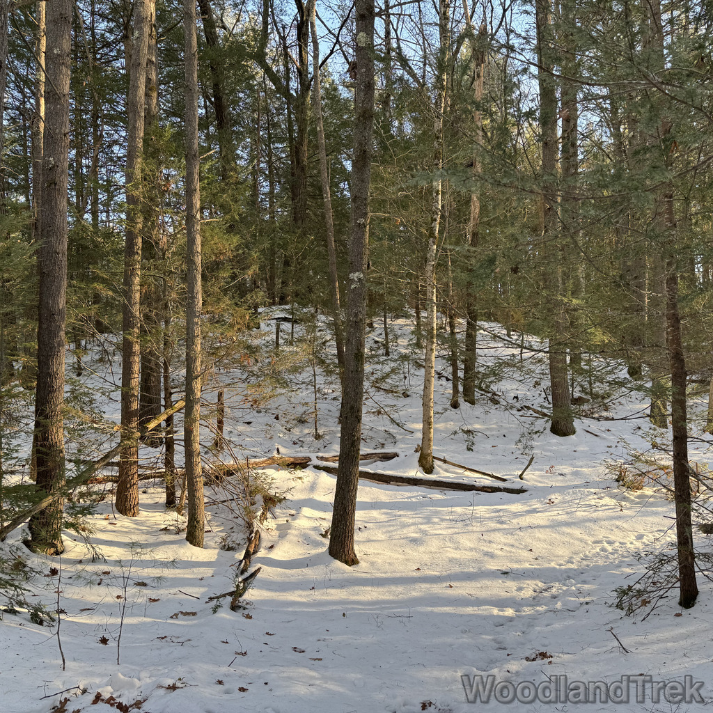 2025-12-18_143748_00