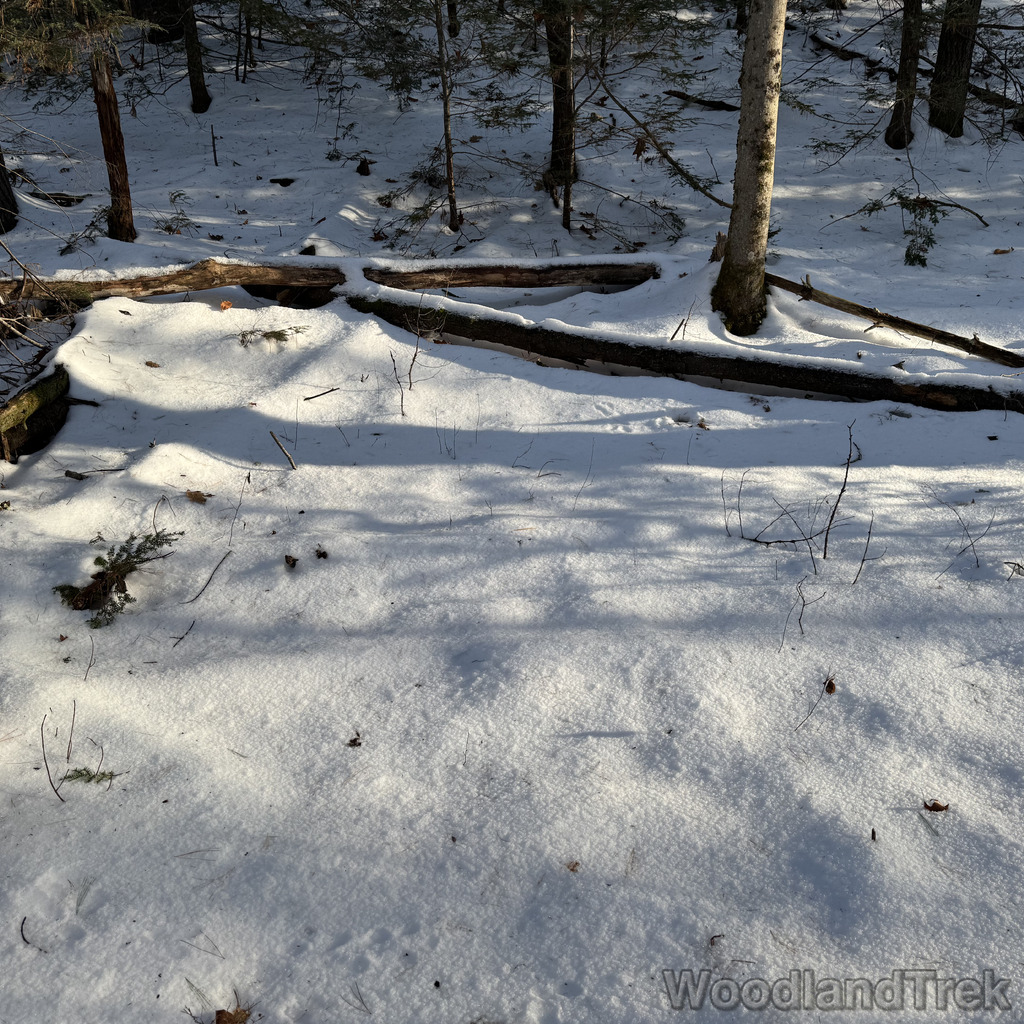 2025-12-18_143815_00