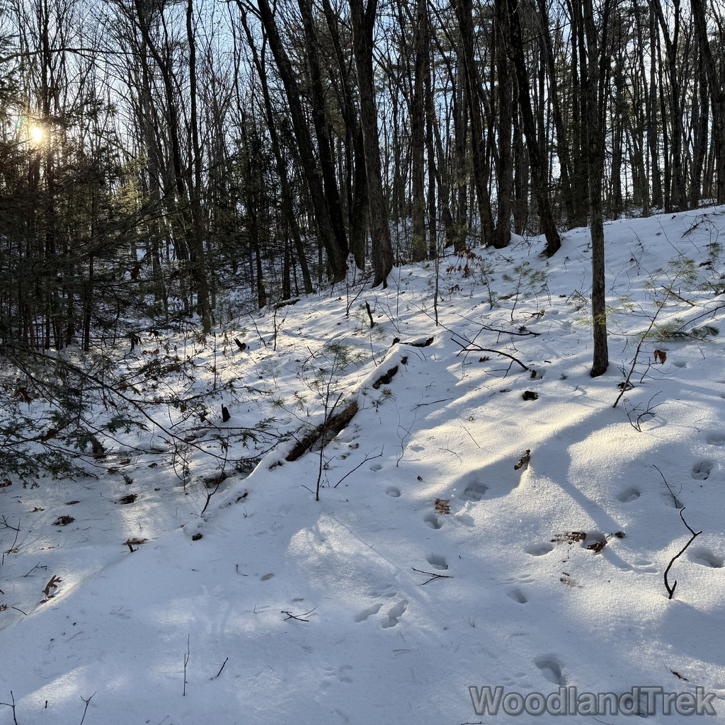 2025-12-18_143858_00