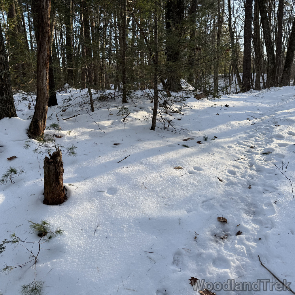 2025-12-18_144038_00