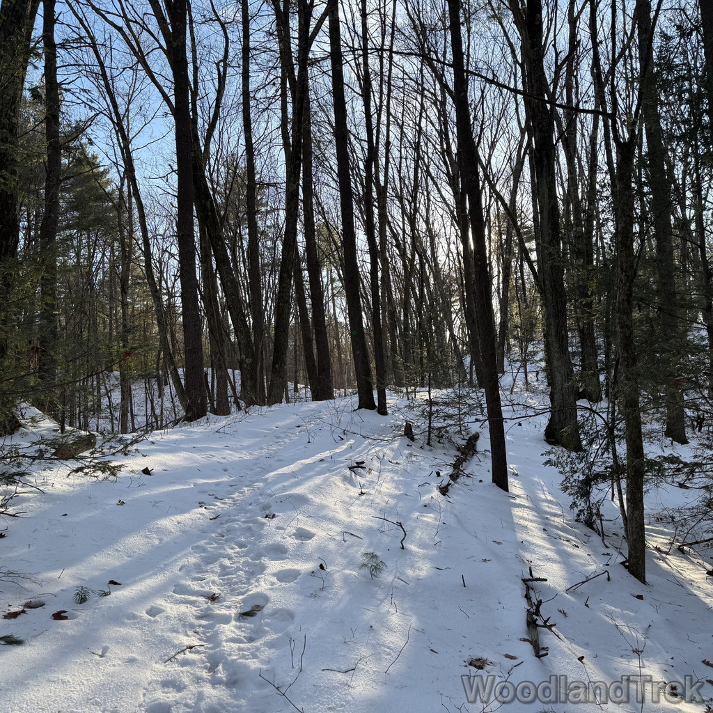 2025-12-18_144045_00