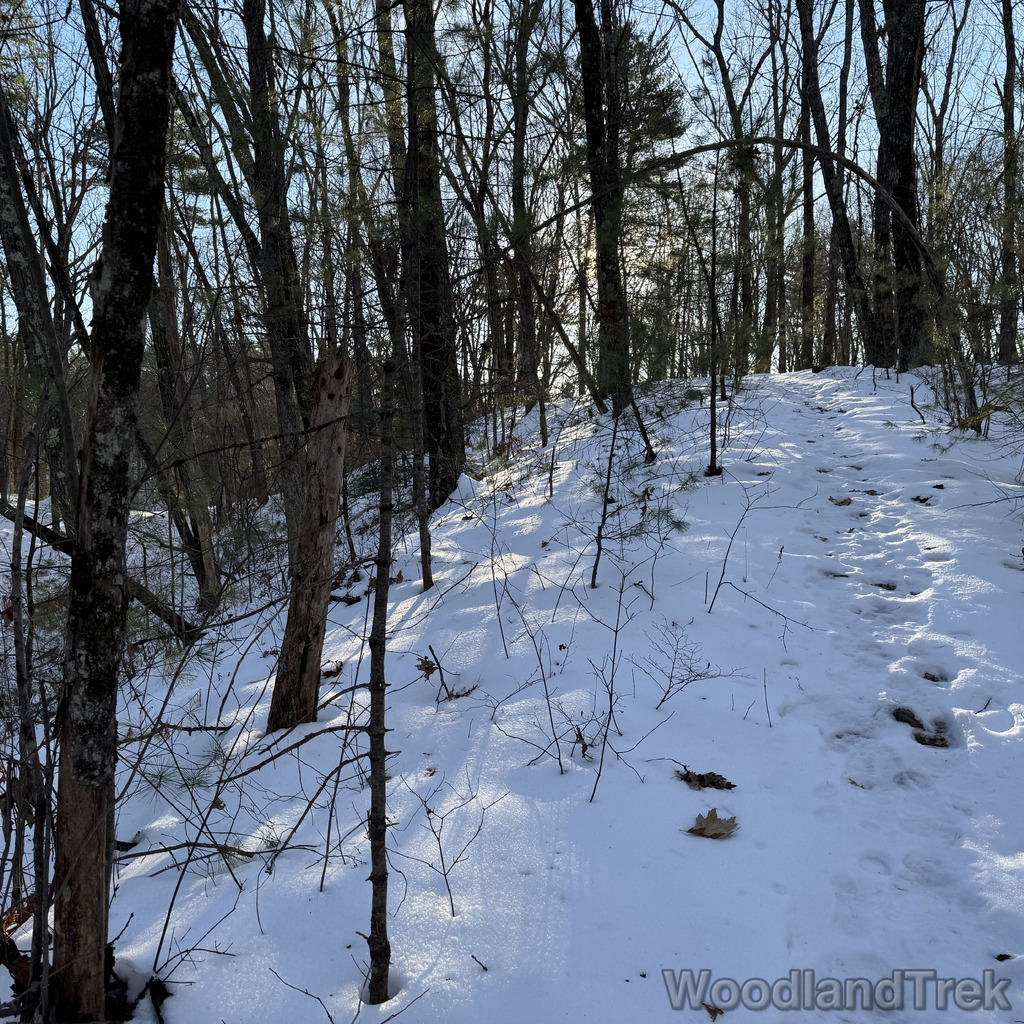 2025-12-18_144200_00