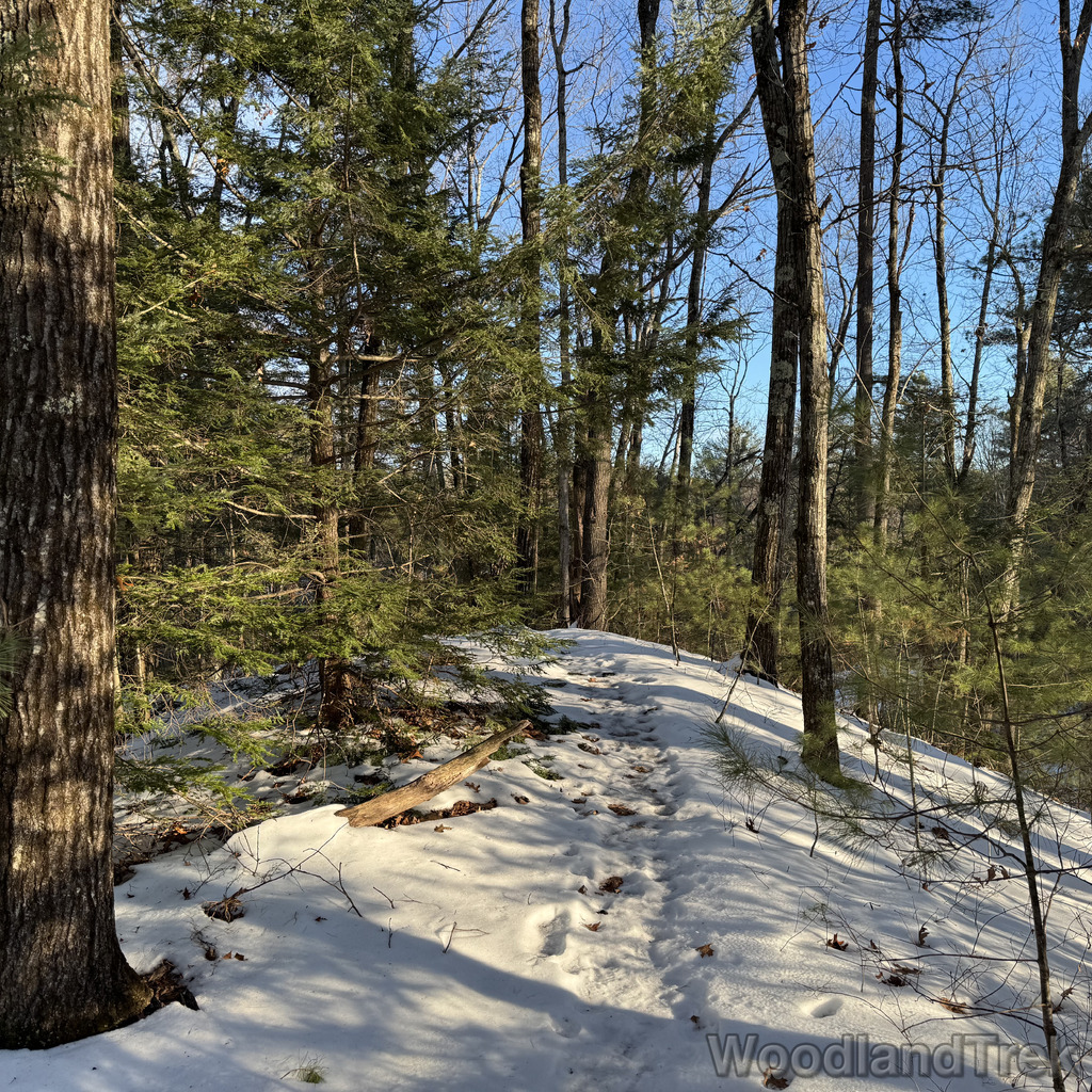 2025-12-18_144440_00