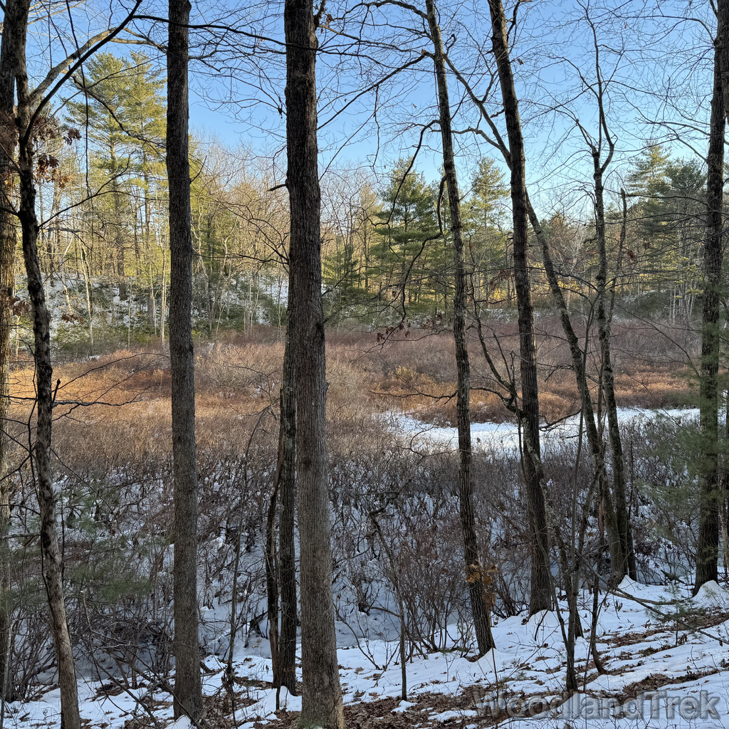 2025-12-18_144813_00