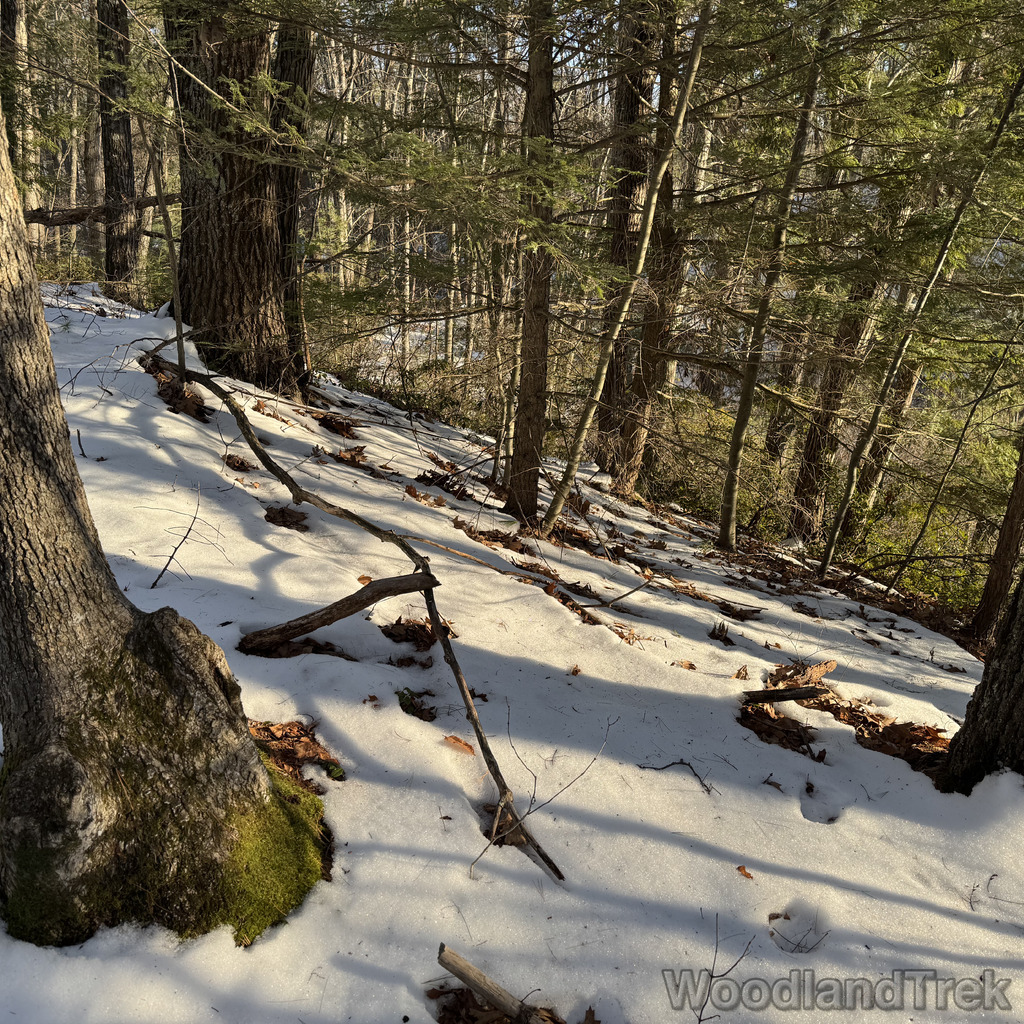 2025-12-18_144943_00