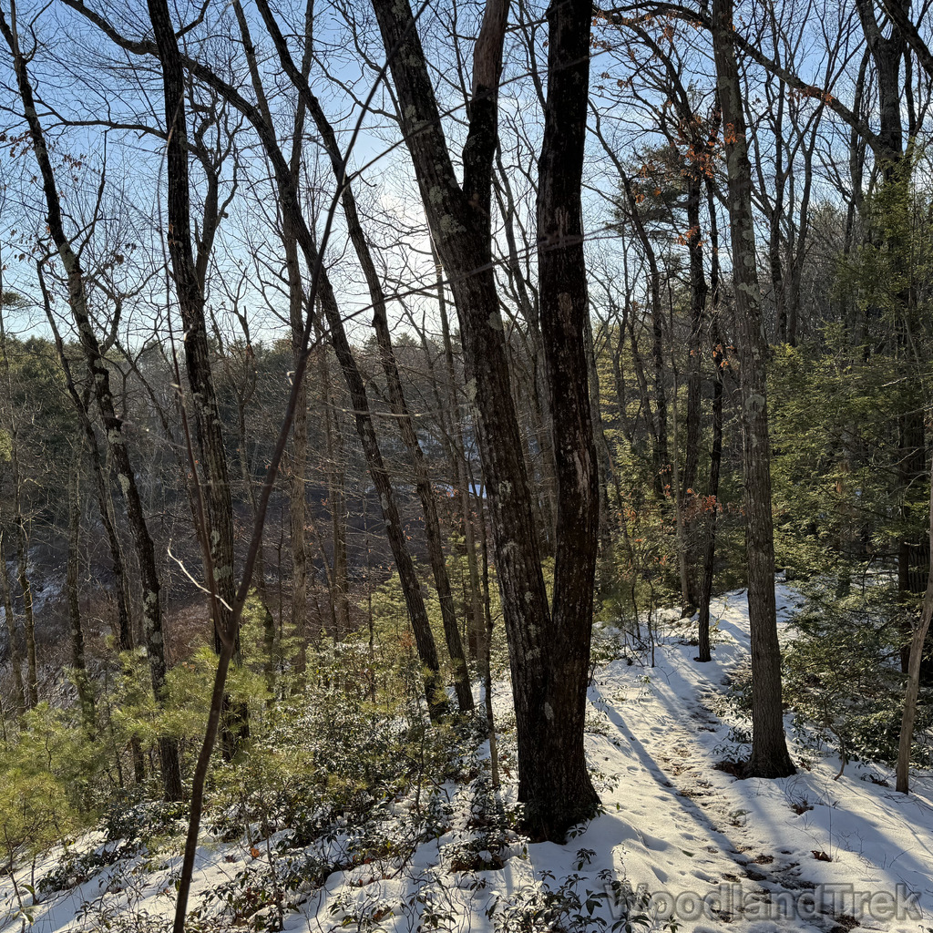 2025-12-18_145128_00