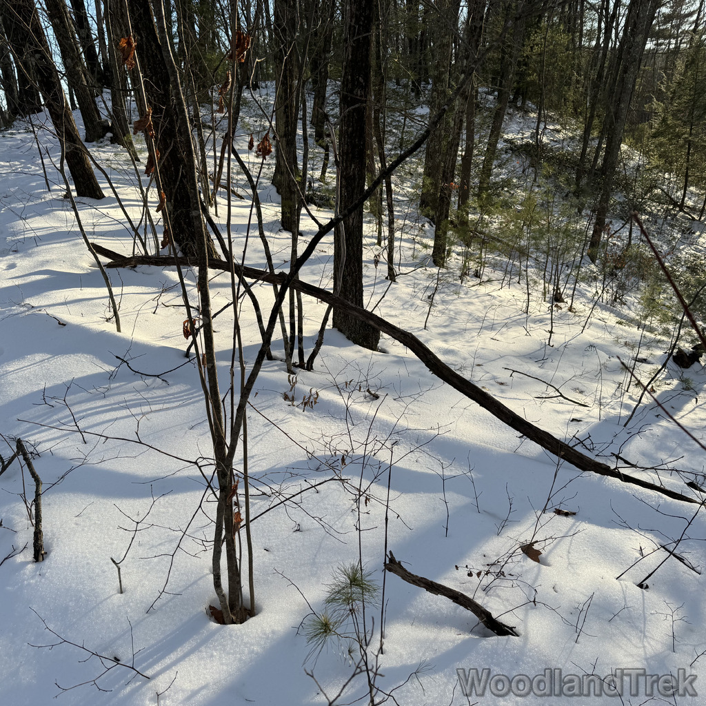 2025-12-18_145620_00