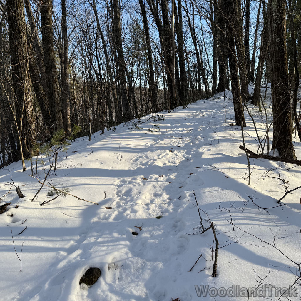 2025-12-18_145625_00