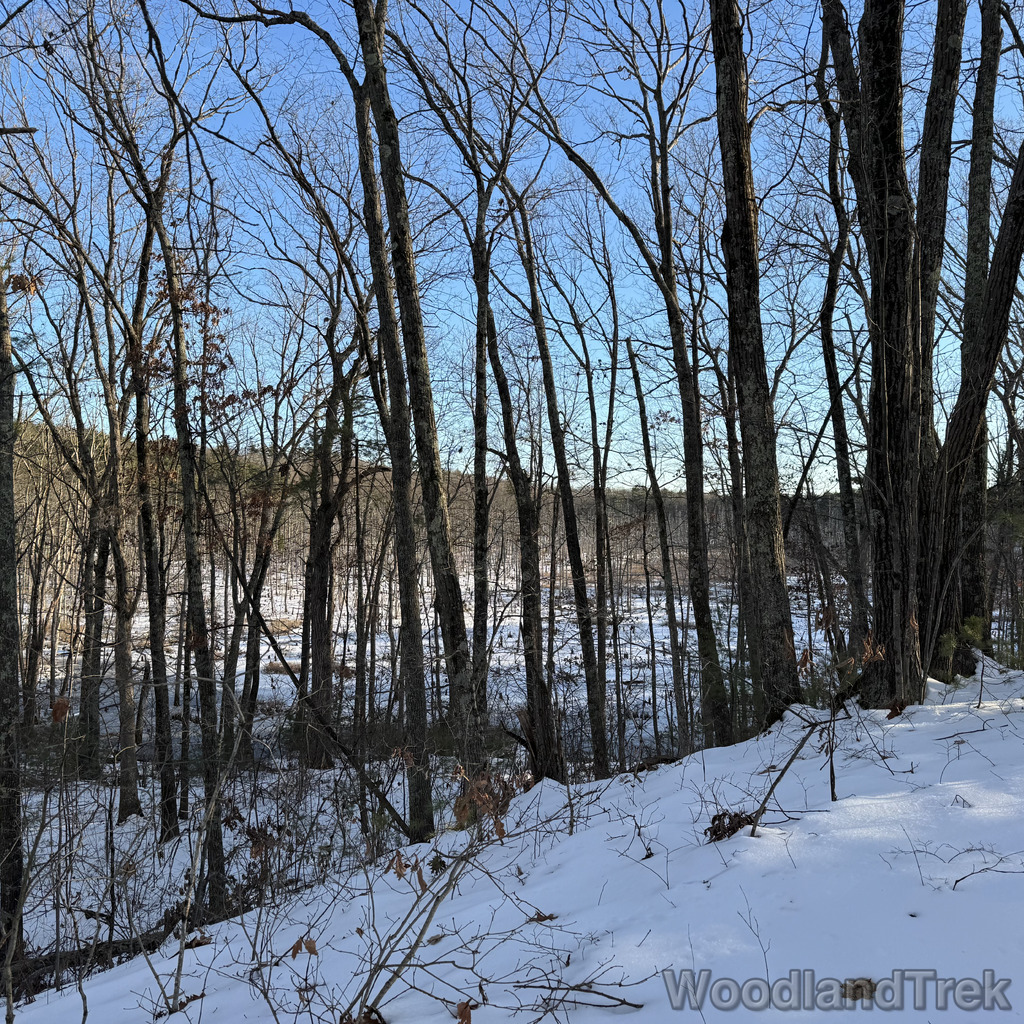 2025-12-18_145736_00