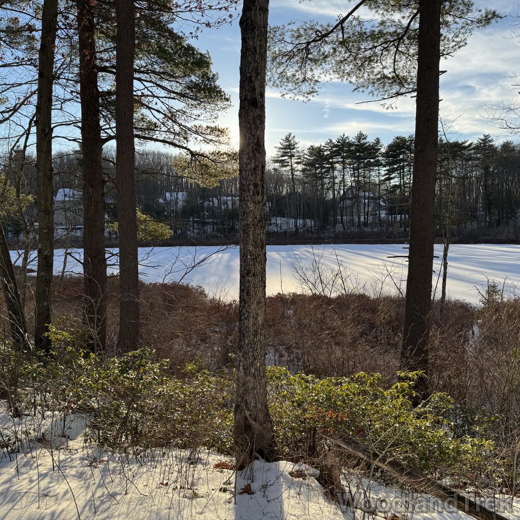 2025-12-18_150240_00