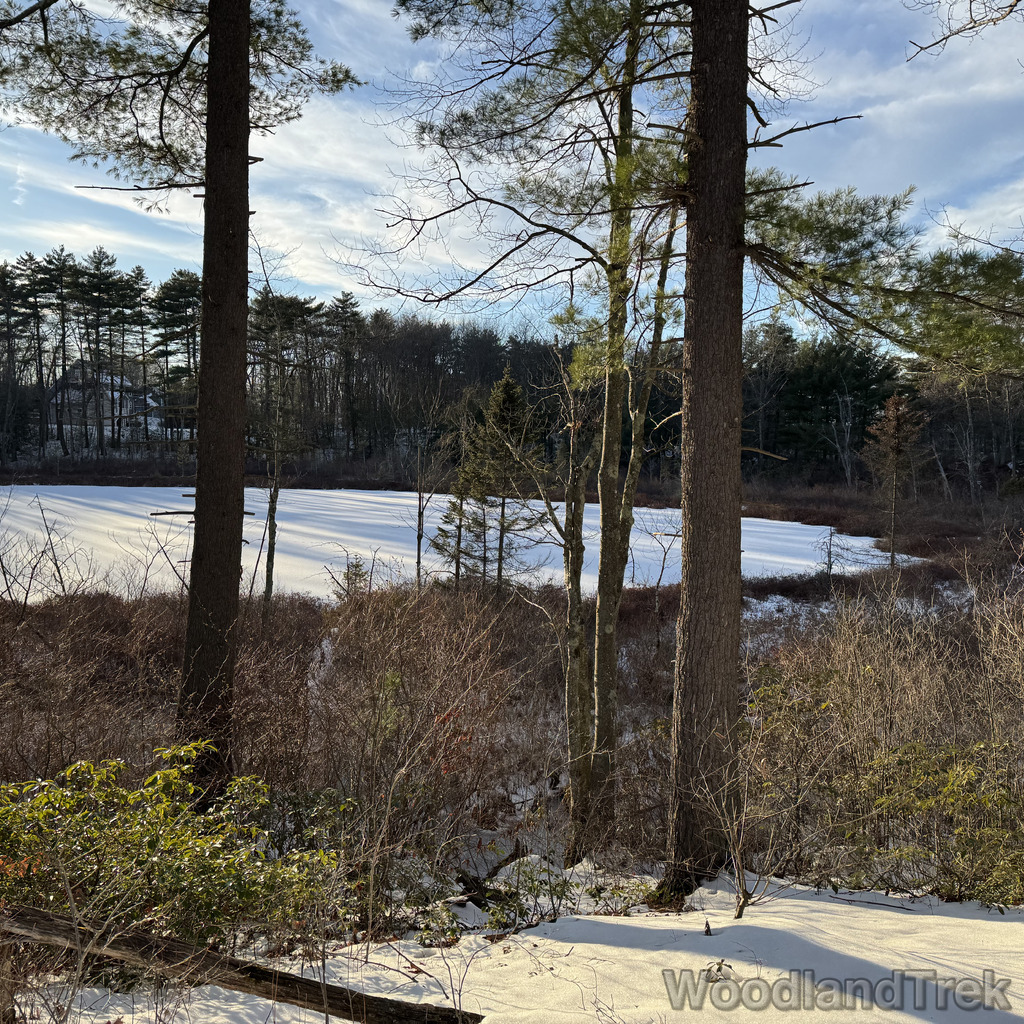 2025-12-18_150242_00