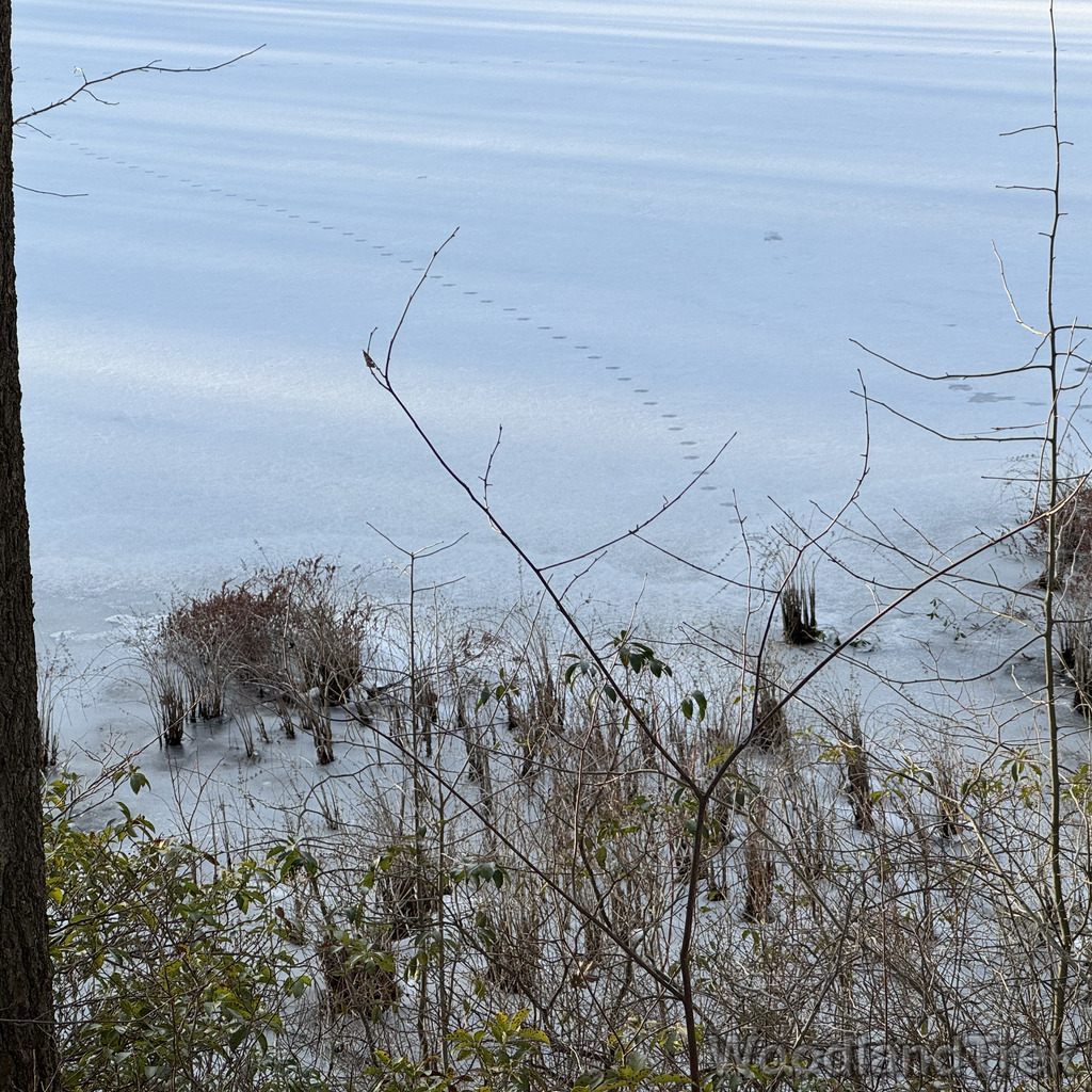 2025-12-18_150344_00