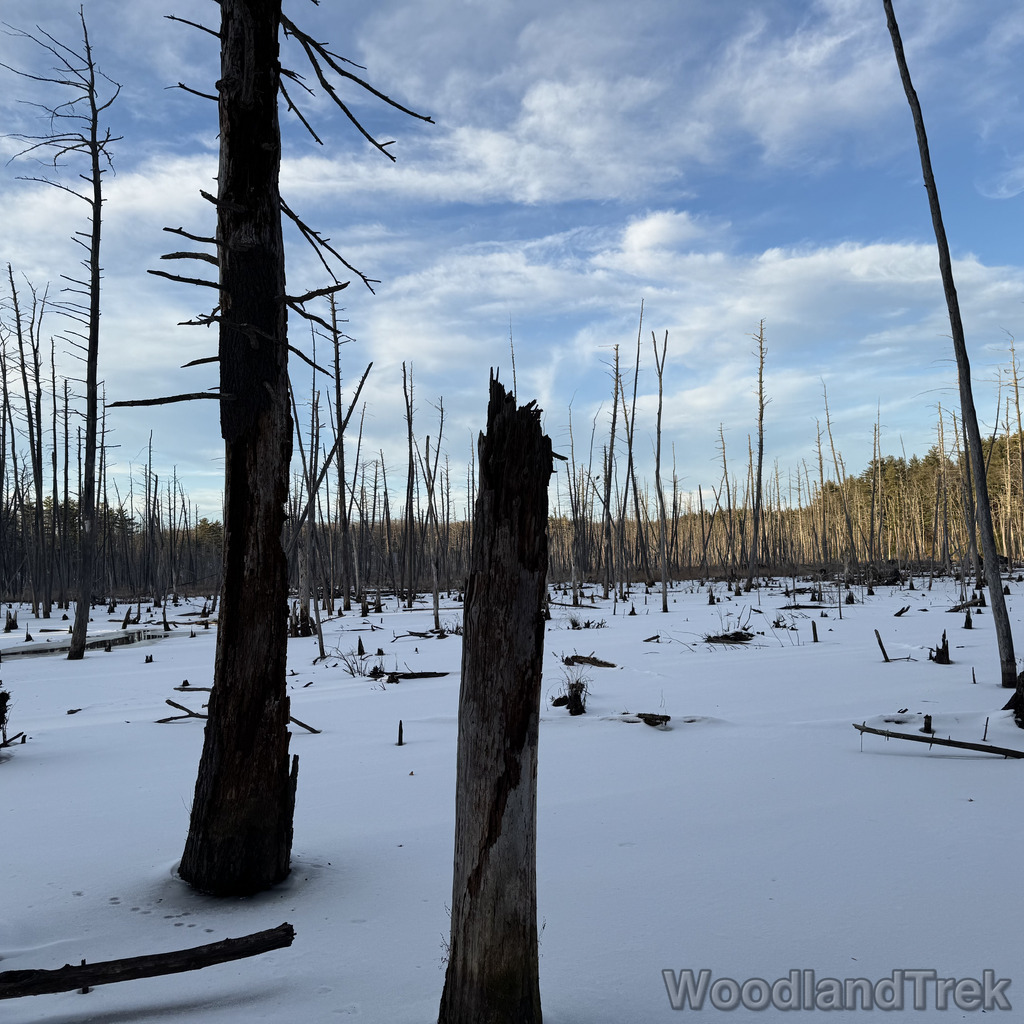 2025-12-18_152339_00