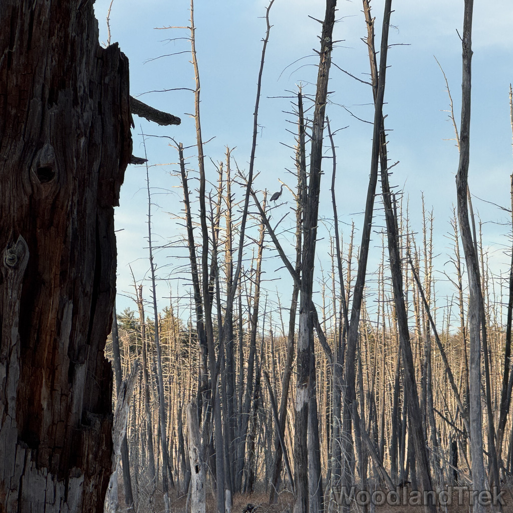 2025-12-18_152345_00