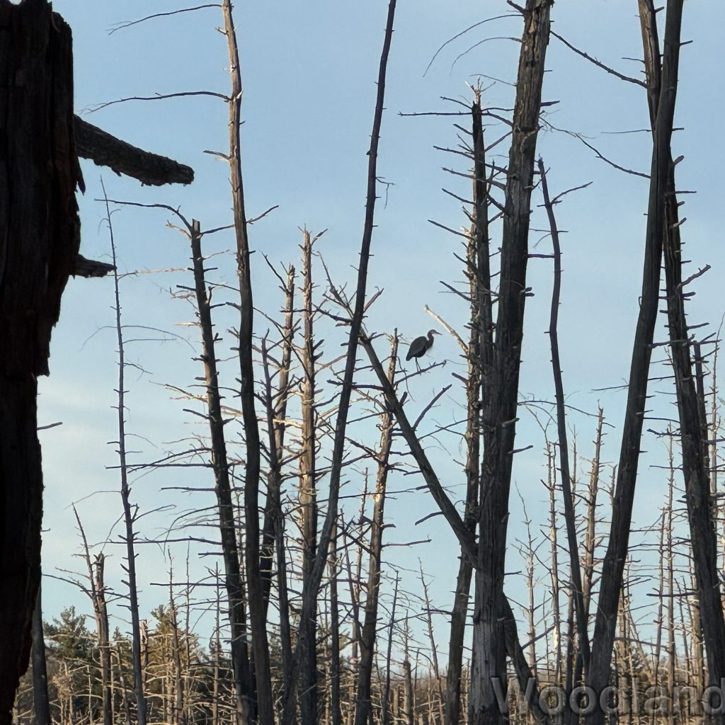 2025-12-18_152354_00