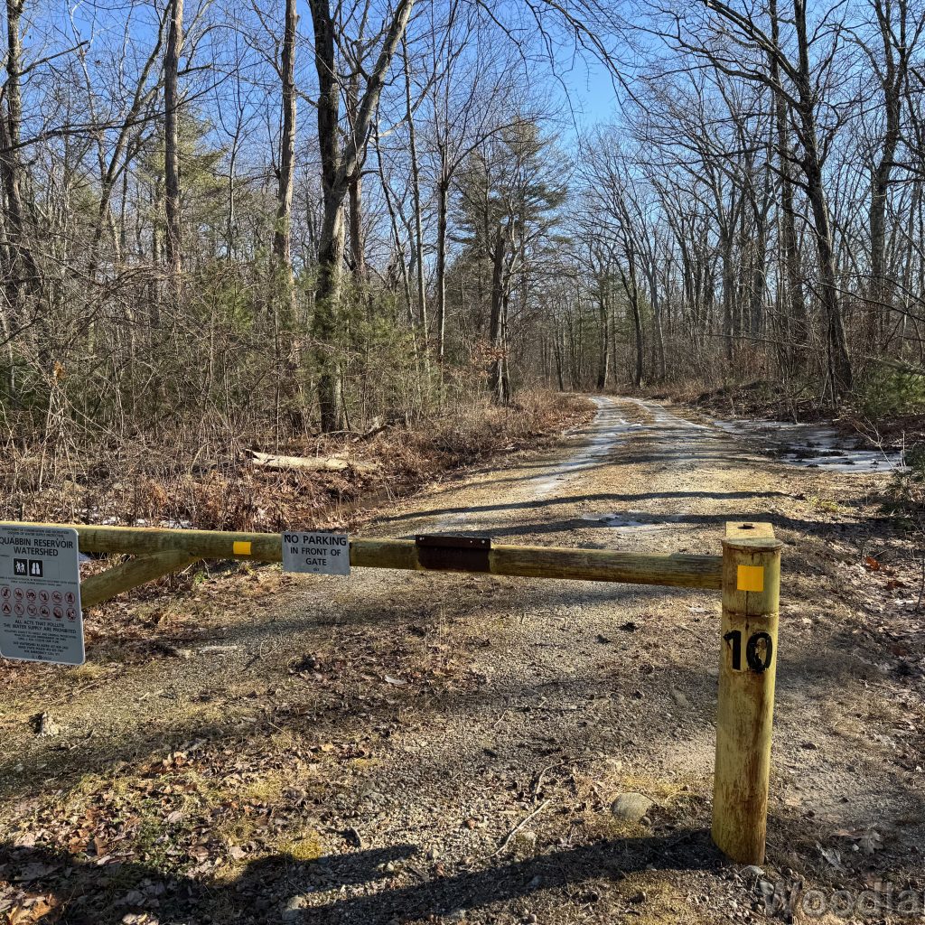 2025-12-20_104407_00