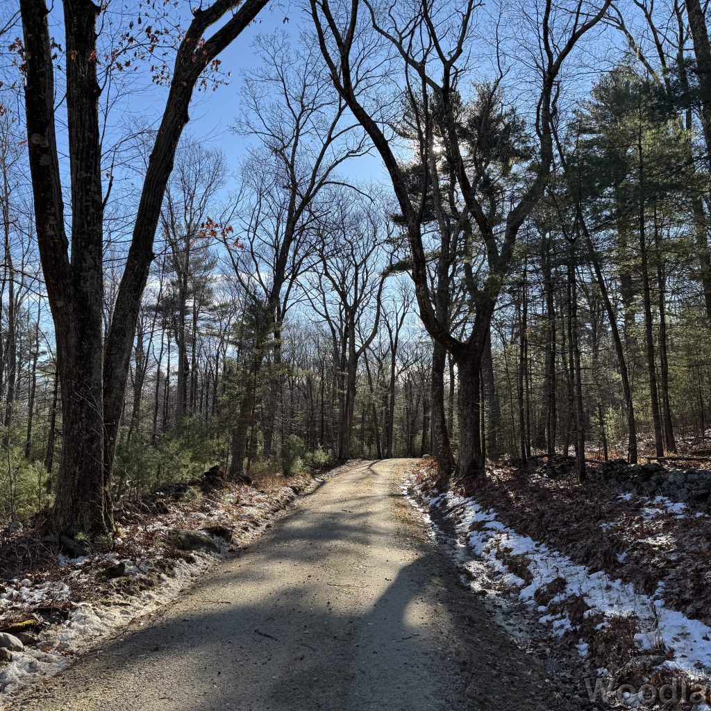 2025-12-20_110033_00