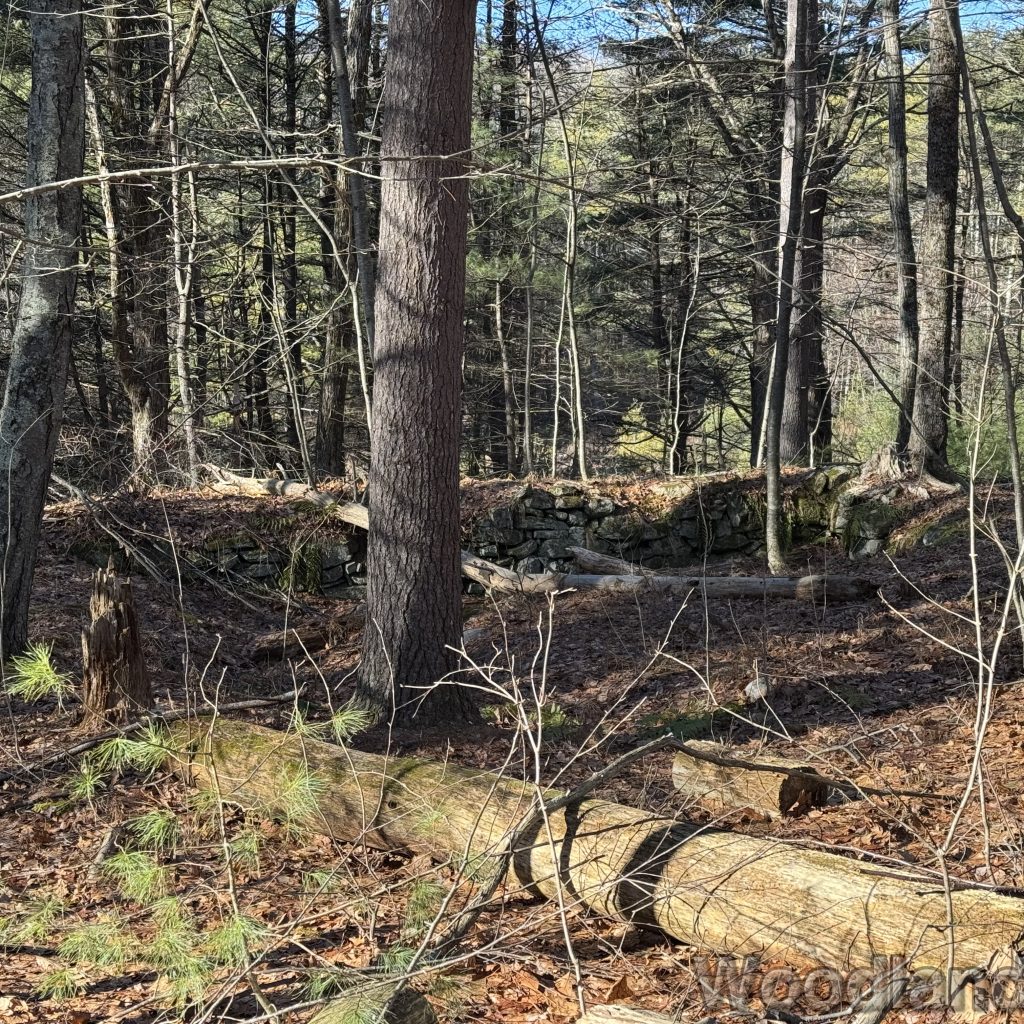 2025-12-20_111151_00