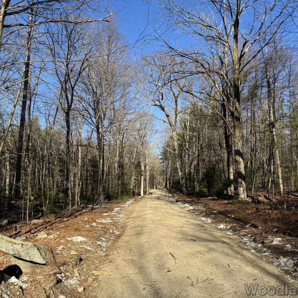 2025-12-20_111157_00