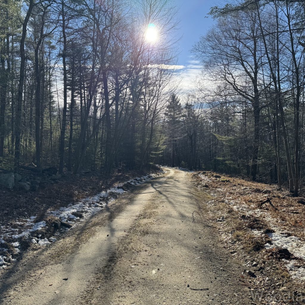 2025-12-20_111202_00