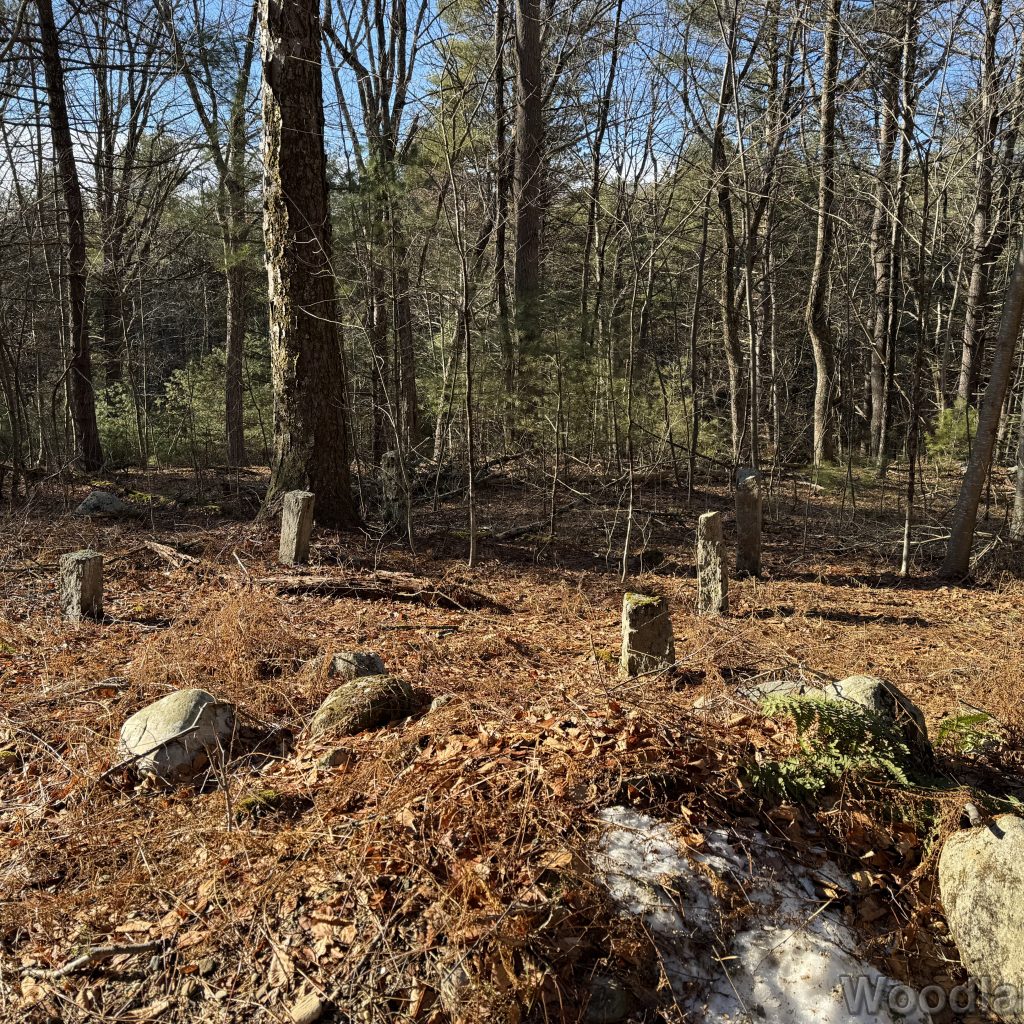 2025-12-20_111228_00