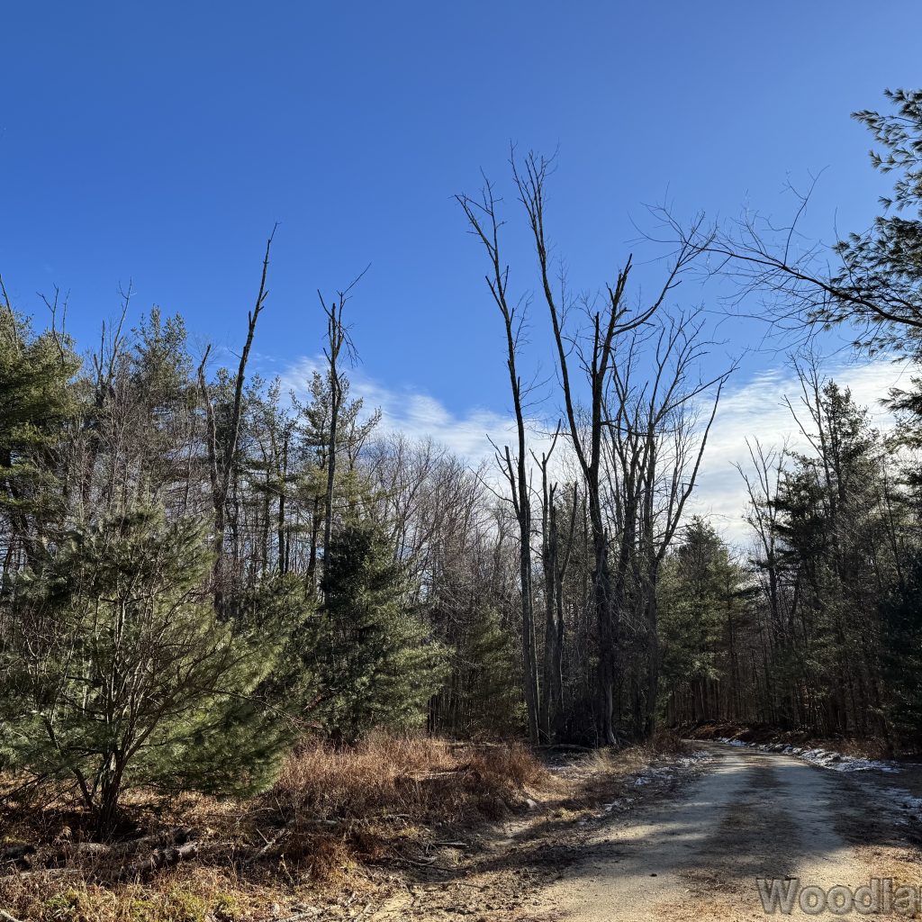 2025-12-20_112156_00