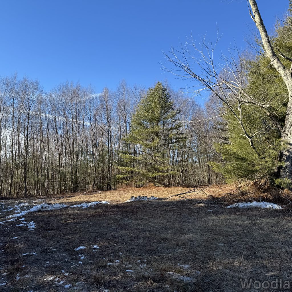 2025-12-20_112241_00