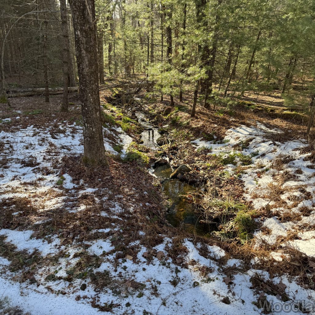 2025-12-20_112800_00