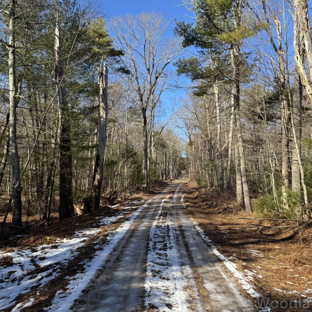 2025-12-20_112809_00