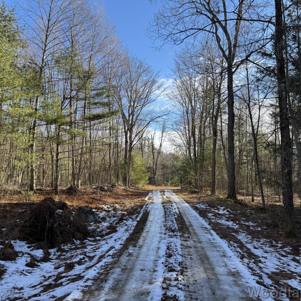 2025-12-20_112816_00