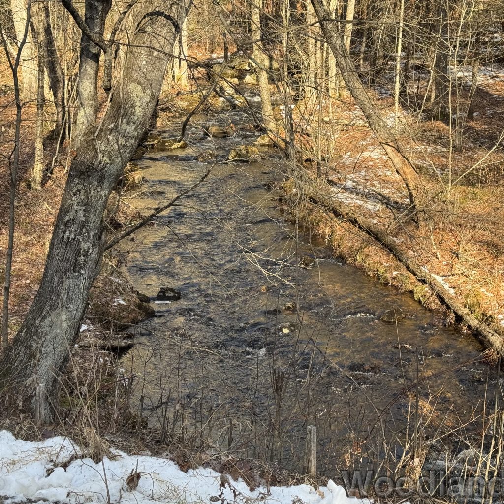 2025-12-20_113813_00