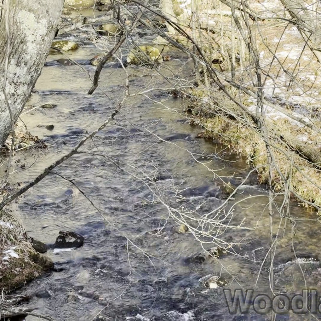 2025-12-20_113832_00