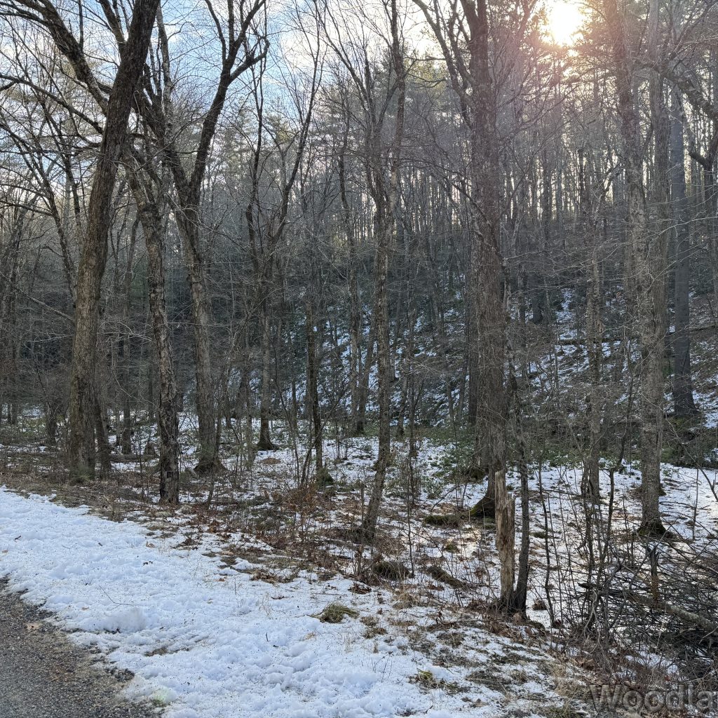 2025-12-20_114044_00