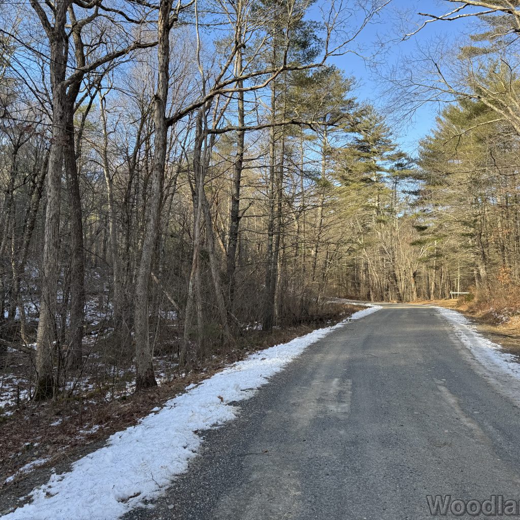 2025-12-20_114049_00