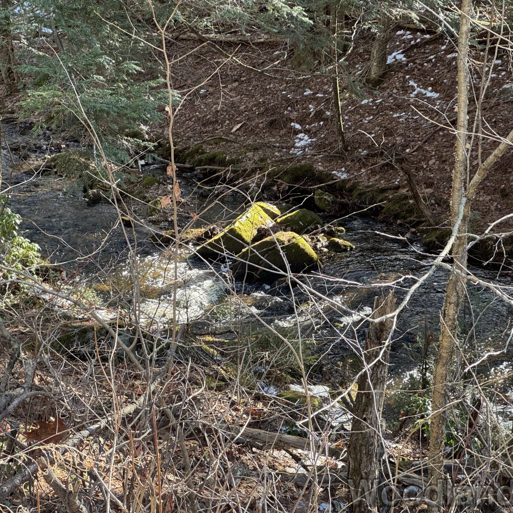 2025-12-20_114301_00