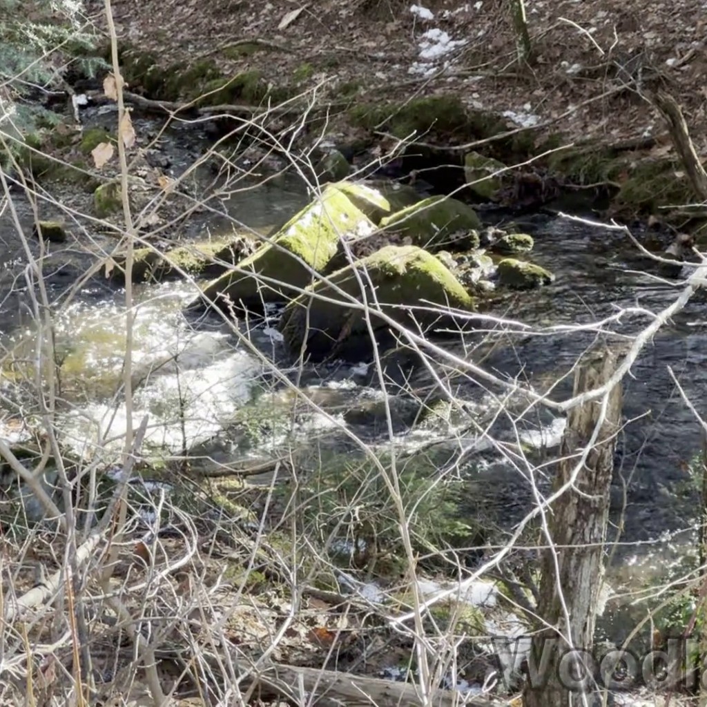 2025-12-20_114330_00