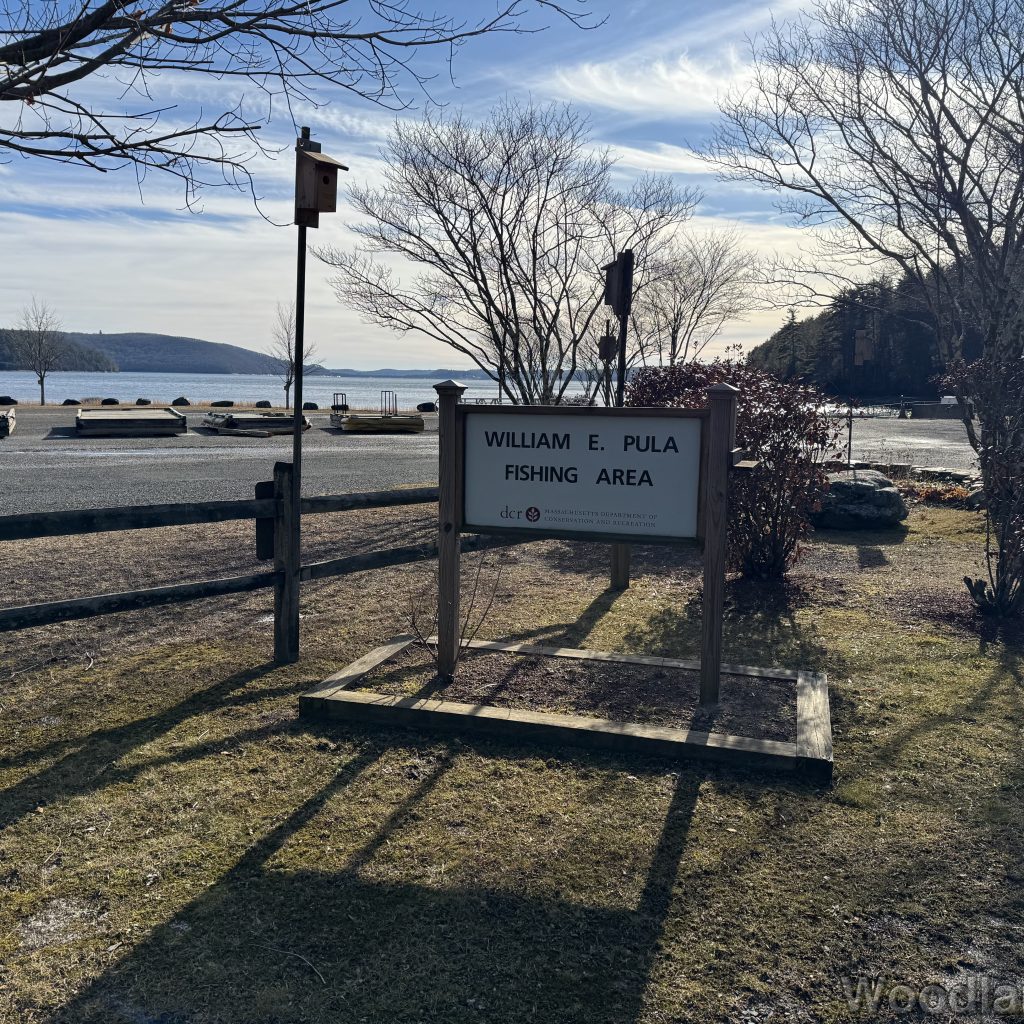 2025-12-20_120359_00