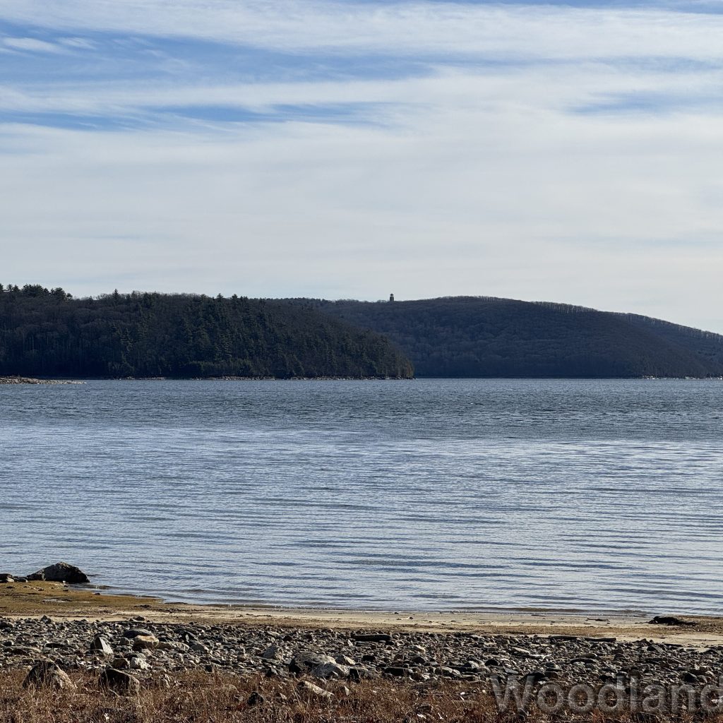 2025-12-20_120729_00