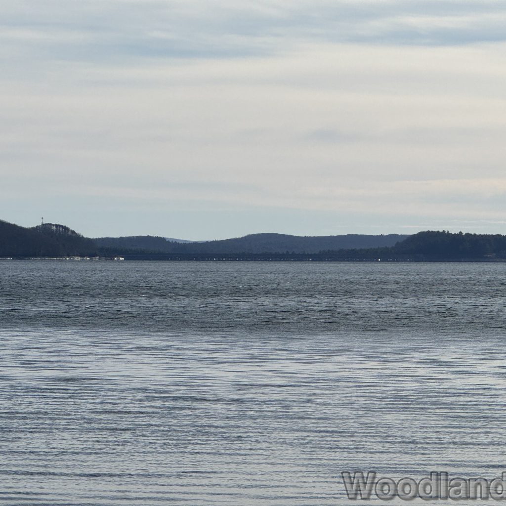 2025-12-20_120749_00