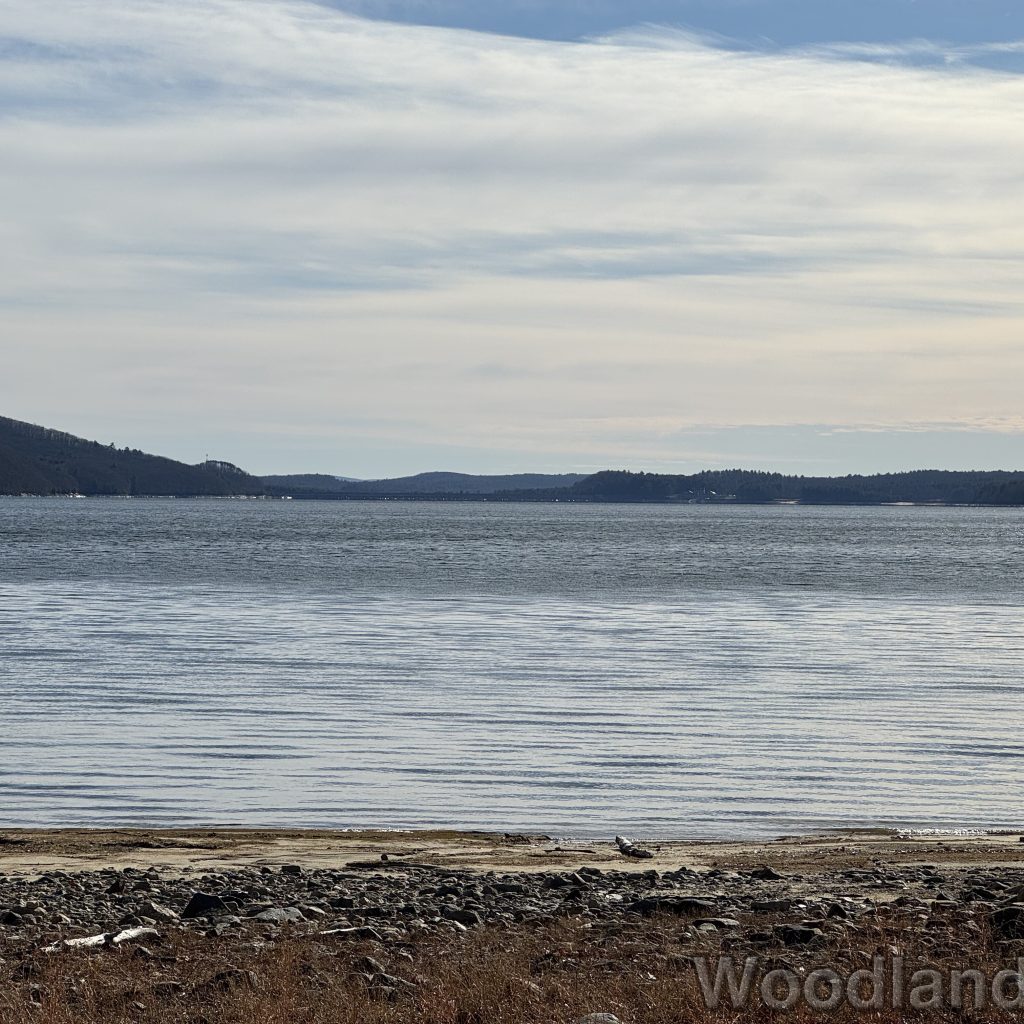 2025-12-20_120802_00