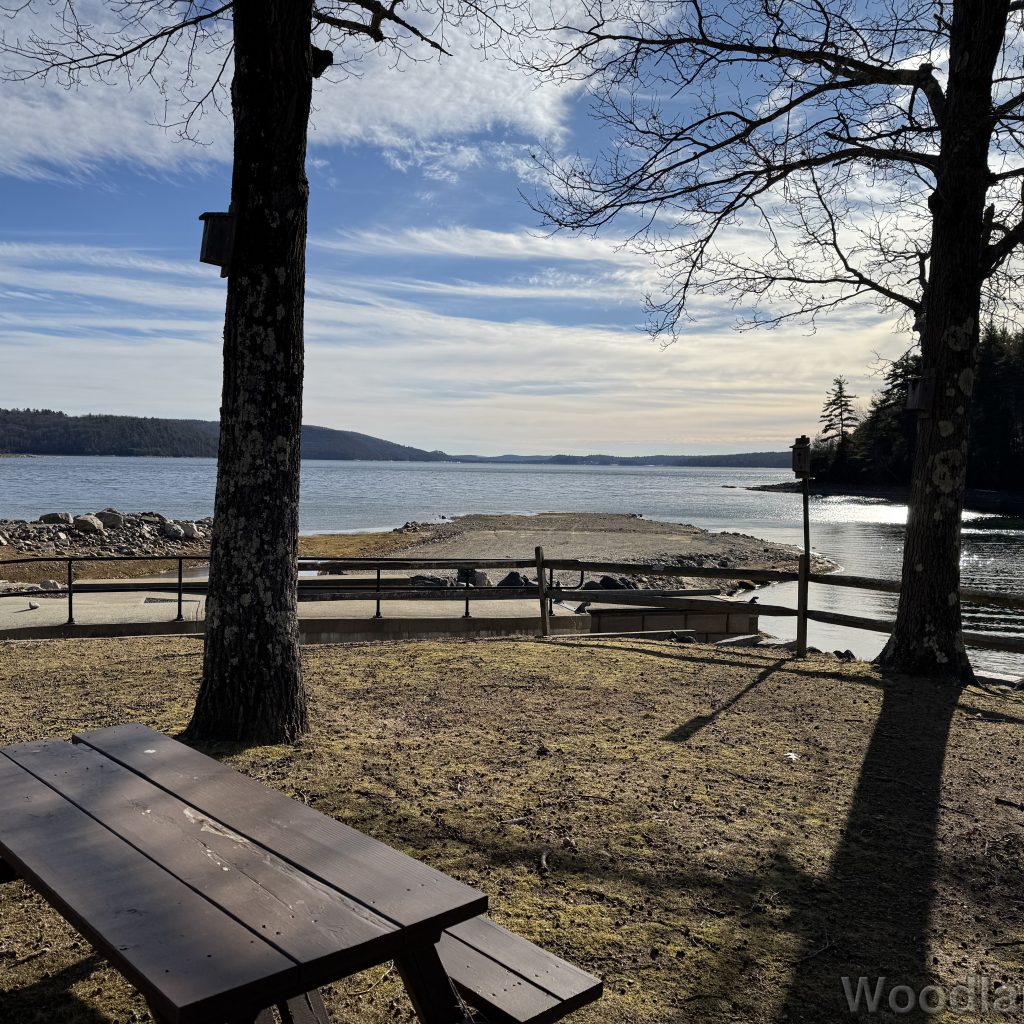 2025-12-20_120906_00