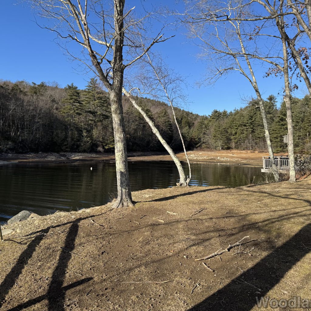 2025-12-20_121029_00