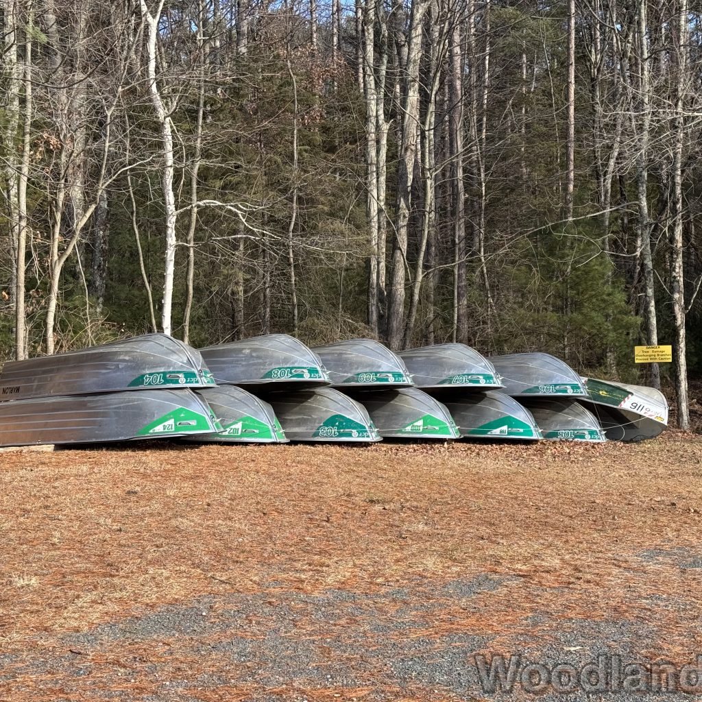 2025-12-20_121913_00