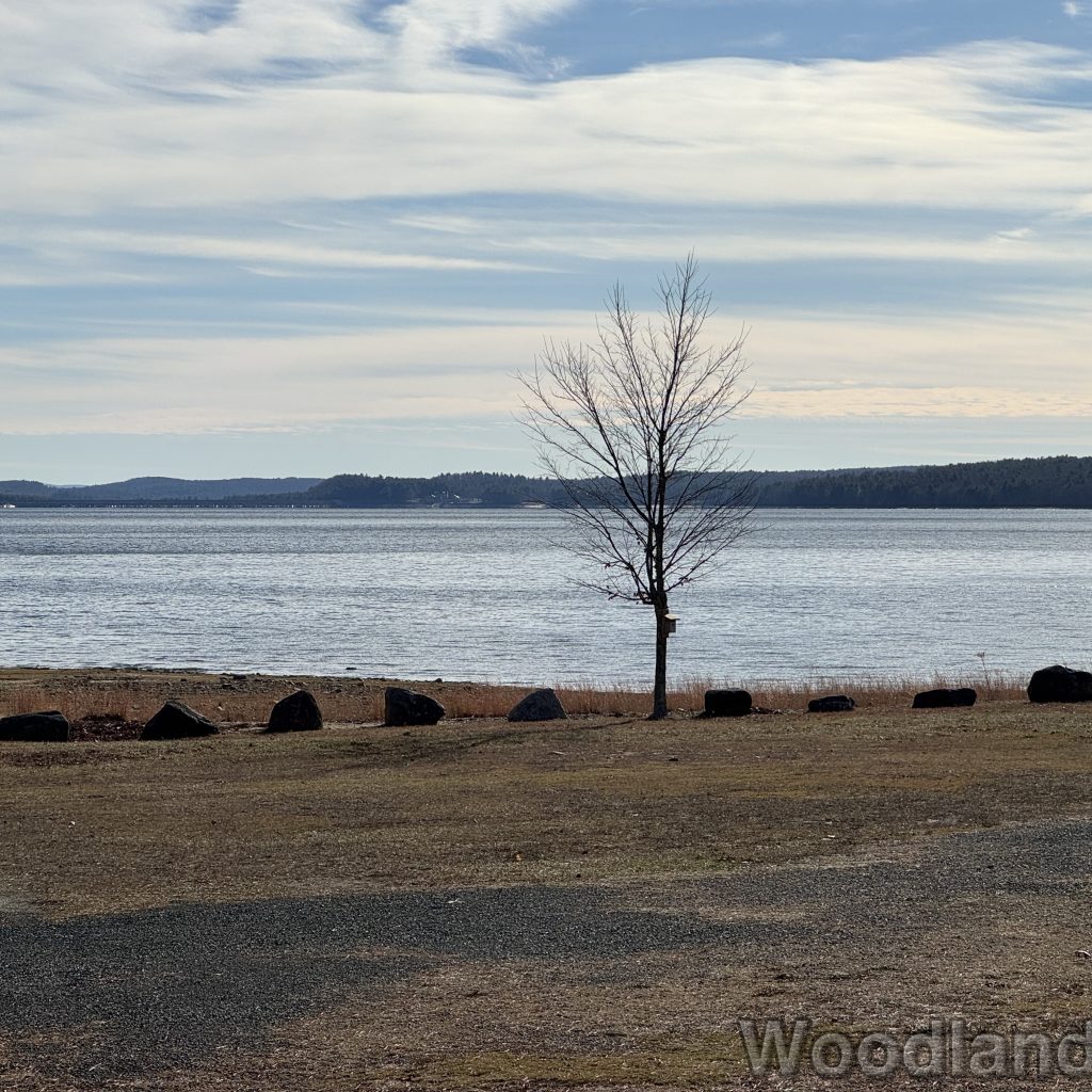 2025-12-20_121950_00