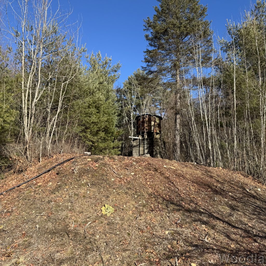 2025-12-20_122103_00